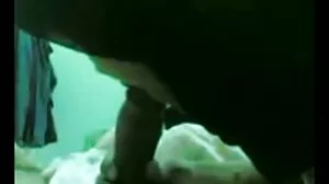 மஸ்ஸூஸ் பெல்லூசியுடன் வாங்க், ஃபுட்ஜாப் & பேங்!