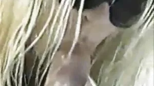 அவா சான்செஸ்