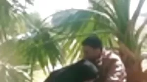 கட்டலினா மில்ஸ்