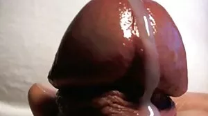 ஜெசிகா ஜெய்ம்ஸ்