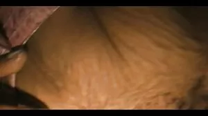 BRAZZERS MILF Alexis Fawx Sloppy Blowjob கொடுக்கிறது